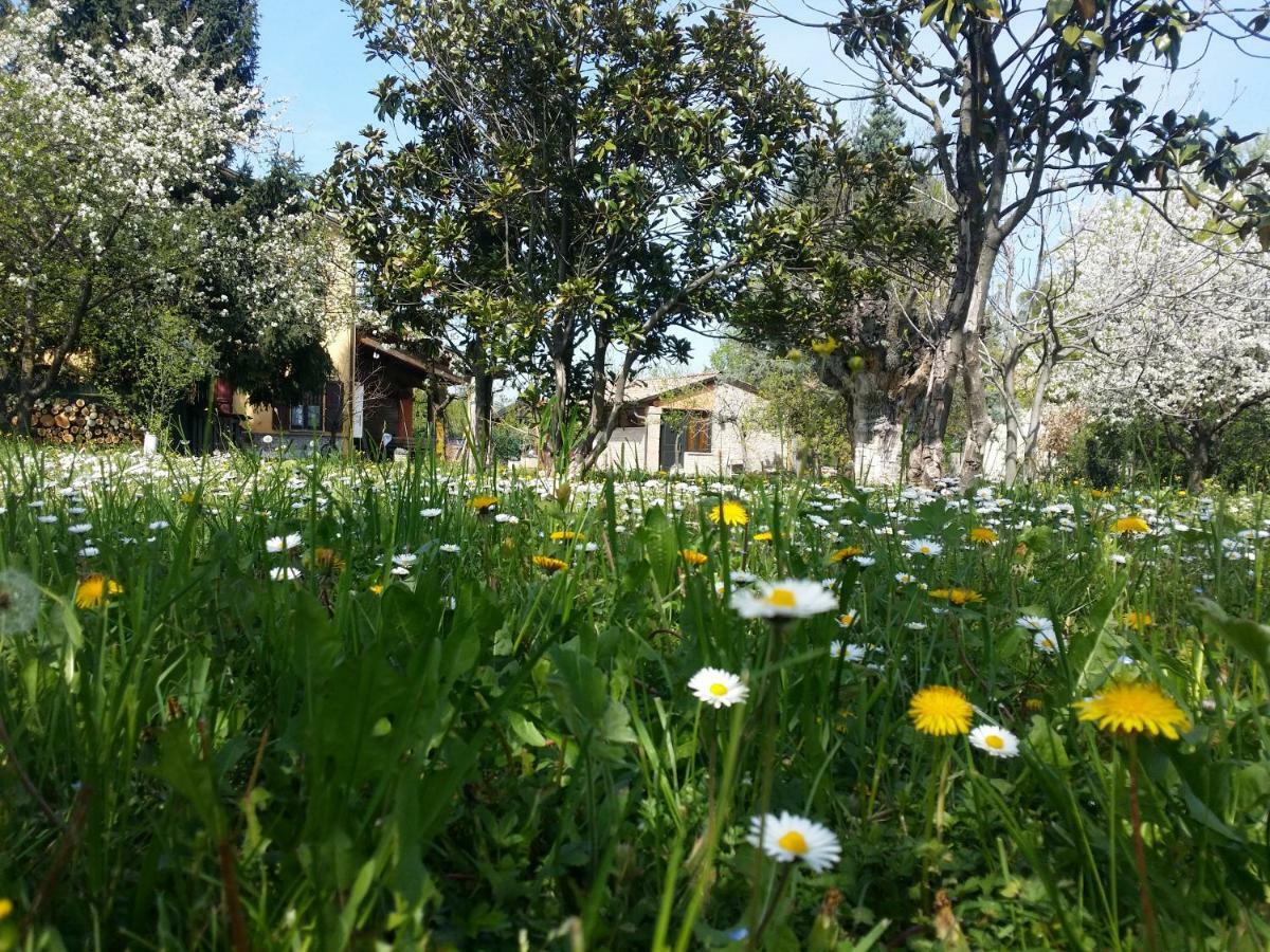 Bed and Breakfast R&B Albero Cavo Parma Esterno foto