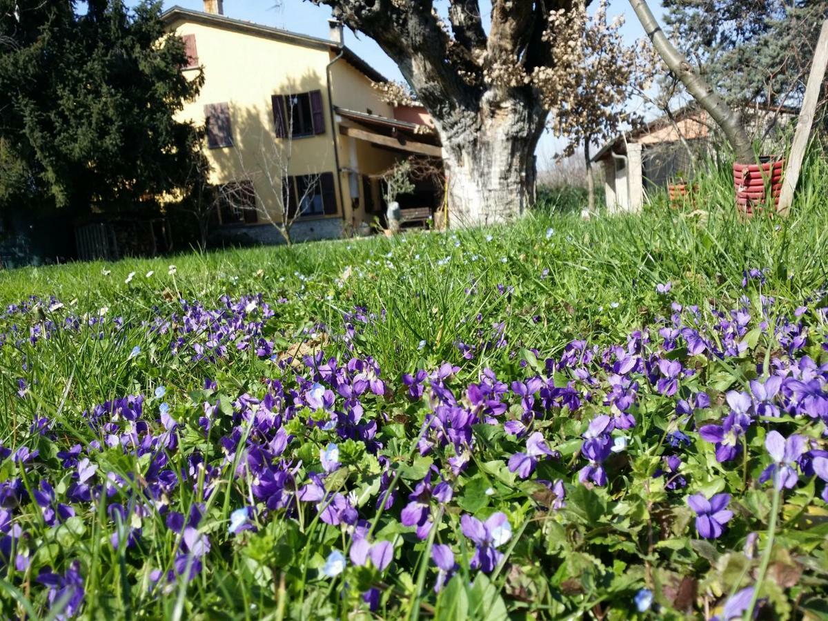 Bed and Breakfast R&B Albero Cavo Parma Esterno foto