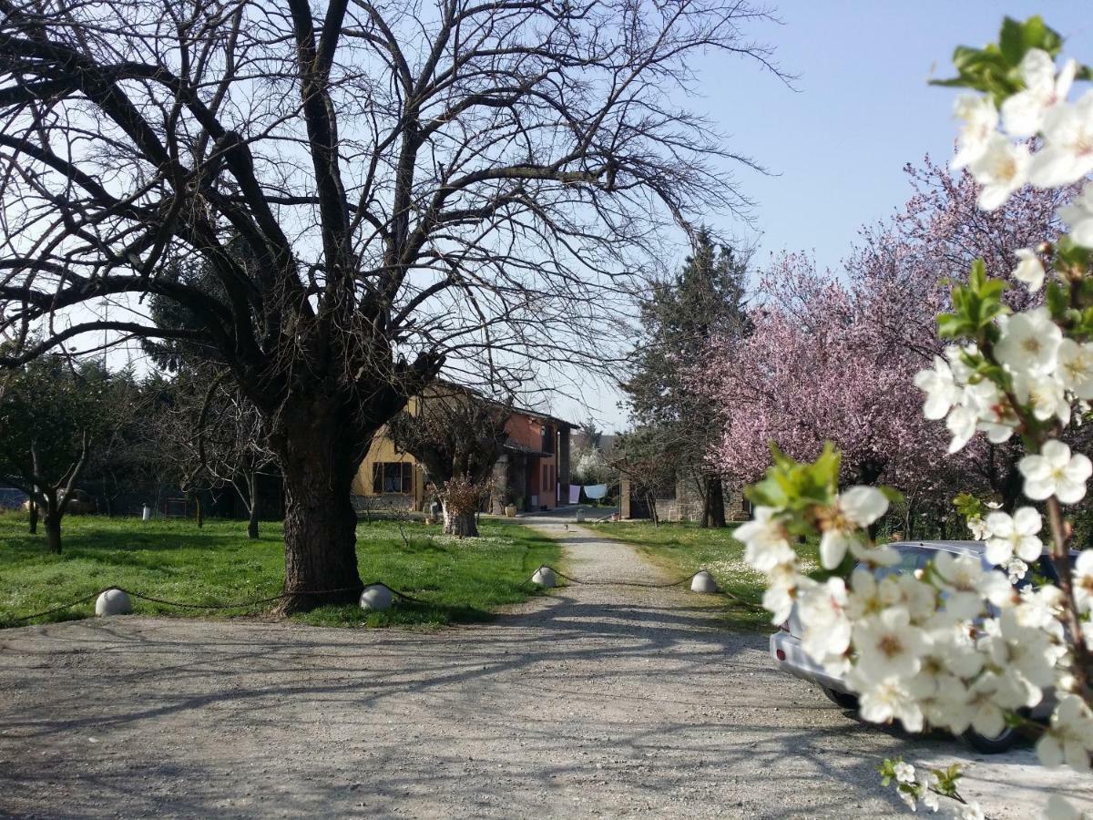 Bed and Breakfast R&B Albero Cavo Parma Esterno foto